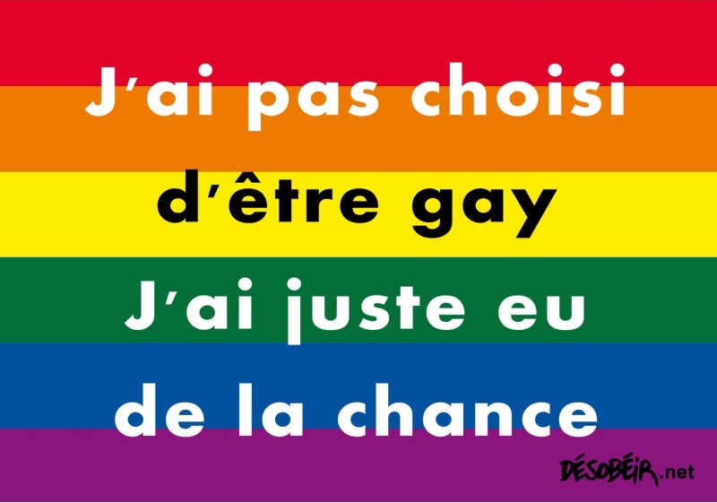 sticker LGBTQI+ de la boutique militante comme quoi être gay n'est pas un choix